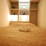 冬宫公寓 *